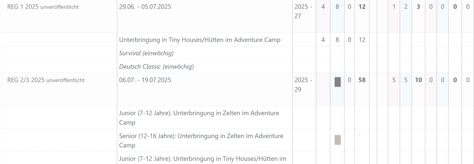 Screenshot Kapazitätsplanung Betreuer*innen